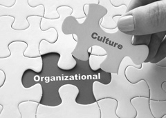 Leadership & Organizational Development
